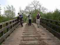 Warming Down After Pooh Sticks