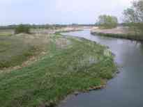 Back Along Thames at Tenfoot