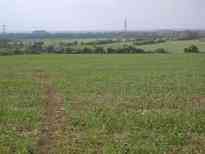 View Back Carswell Marsh