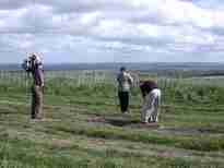 Water Stop On The Ridgeway